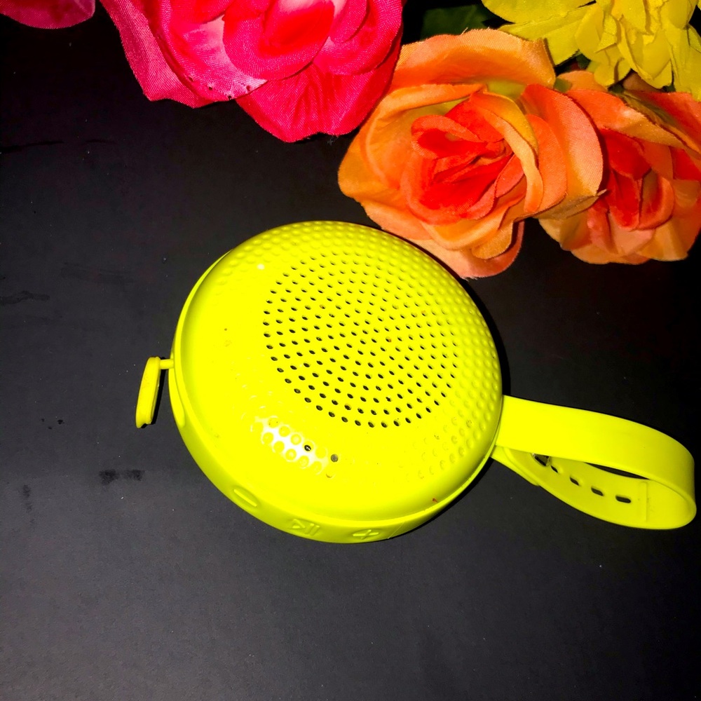 Speaker